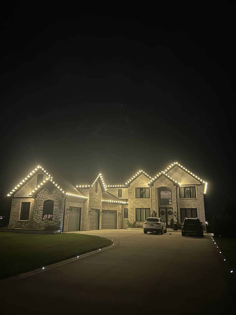 Full Service Christmas Light